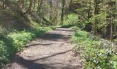 Tour Wandern Ceyrat - GORGES DE CEYRAT EN BOUCLE PAR BERZET - Photo 1