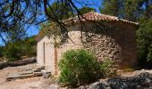 Tocht Stappen Brignoles - Brignoles - Rocher du Gueit - Chapelle St Sébastien - Photo 8