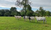 Trail Walking Herve - bolland . favechamps . la vaux . melen . bolland  - Photo 5