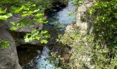 Percorso A piedi Gourdon - Gorges du loup - Photo 6