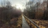 Trail Walking Gedinne - rando croix scaille 26-12-2023 - Photo 4