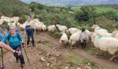 Tour Wandern Itxassou - Pyrénées 1 mondarrain - Photo 6