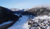 Tour Wandern Metzeral - Autours de Metzeral - Photo 1