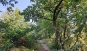 Tocht Stappen Vresse-sur-Semois - Balade à Chairière - Vresse sur Semois - Photo 10