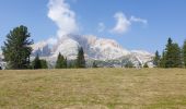 Trail Walking Prags - Braies - Strudelkopf - Monte Specie 2307m - Photo 3