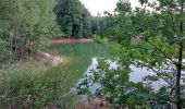 Randonnée Marche Libin - Sentier des Nutons - Smuid - Parc enchanté du Kaolin - Photo 8