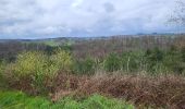 Trail Walking Vresse-sur-Semois - Orchimont 250423 - Photo 6