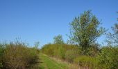 Tocht Te voet Fockbek - Rundweg Fockbeker Moor - Photo 6