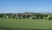 Trail On foot Calden - Habichtswaldsteig - Extratour Breuna - Photo 5