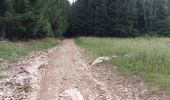 Trail Walking Pontarlier - FORT MALHER DEPUIS LE CAMPING DU LARMONT - Photo 3