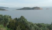 Tour Wandern La Croix-Valmer - Cap Lardier Cap Taillat-24-01-224 - Photo 6