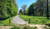 Trail Hybrid bike Ferrières-en-Brie - Etangs de Tafarrette - Forêt de Ferrieres  - Photo 6