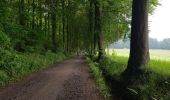 Trail Walking Bastogne - Bastogne - MESA 2021 - Photo 3