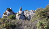 Tocht Noords wandelen Saint-Guilhem-le-Désert - St Guilhem Via Tolosana Max Nègre 21 janv 2023 - Photo 12