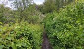 Trail Walking Riemst - autour de Kanne et St Pietersberg  - Photo 9