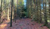 Trail Walking Eupen - nahtsief court - Photo 16
