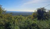 Trail Walking Le Rouret - CASA Camp celto Ligure et Romain et Truffières du Rouret - Photo 4