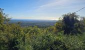 Trail Walking Le Rouret - CASA Camp celto Ligure et Romain et Truffières du Rouret - Photo 4