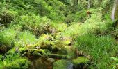 Trail Walking Bad Peterstal-Griesbach - Buhlbachsee & Lotharpfad - Photo 19