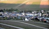 Tour Zu Fuß Schengen - Naturpfad Reif - Photo 7