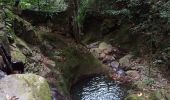 Tour Wandern Bouillante - Aquarando Rivière Losteau - Rivière Espérance - Photo 1