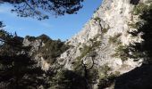 Trail Walking Toudon - Baisse des Colettes et Mt Brune de Toudon - Photo 3