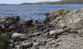 Tour Wandern West Cork - Ardgroom -  Eyeries - Photo 19