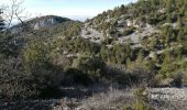 Tour Wandern Bédoin - les ramayettes - Photo 2