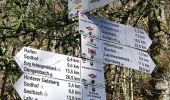 Trail On foot Schuttertal - Aussichtsweg - Große Runde - Photo 10