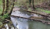 Trail Walking Honnelles - Promenade du caillou qui bique  - Photo 14