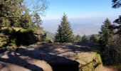 Trail Walking Ottrott - Mont Sainte-Odile - Tour du mur Païen - Photo 11