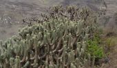 Excursión Senderismo Alausí - Nariz del diablo - Photo 10