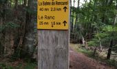 Trail Walking Presles - la Balme Riendre - Photo 11