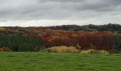 Tocht Stappen Theux - tour  des fermes. f airifagne . f wisselez . Mont . hodbomont . f st Remacle - Photo 15