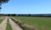 Tour Wandern Houyet - Finnevaux-Wiesme - Photo 4