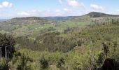 Percorso Mountainbike Ramonchamp - les belvédères de la Haute vallée de la Moselle - Photo 4