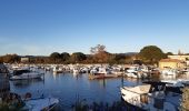 Trail Walking La Londe-les-Maures - 2022_11_20 tour du soir - Photo 1