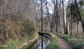 Trail Walking Andoain - CANAL DES MILLE MARCHES - CANAL DE VILLABONA Otieta Parkea  - Photo 13