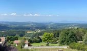 Tour Wandern Échandelys - Panorama en Livradois-Forez  - Photo 5