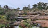 Excursión Senderismo Le Cannet-des-Maures - lac des escarcets - Photo 19