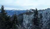 Excursión Raquetas de nieve Autrans-Méaudre en Vercors - Bec de l'orient en circuit - Photo 3