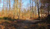 Trail Walking Pierrefonds - en forêt de Compiègne_24_Tournantes sur le Voliard et sur la Fortelle_chaussée Brunehaut - Photo 15