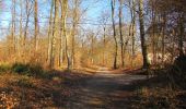 Randonnée Marche Pierrefonds - en forêt de Compiègne_24_Tournantes sur le Voliard et sur la Fortelle_chaussée Brunehaut - Photo 15