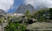 Trail Walking Chamonix-Mont-Blanc - Plan de l'aiguille par Montenvers  - Photo 1