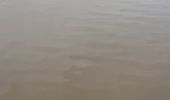 Randonnée Marche Saint-Martin-du-Bec - st martin anglesqueville - Photo 2