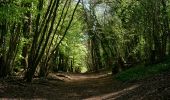 Trail On foot Mole Valley - Norbury Park Off Road Cycle & Walk (SCC) - Photo 8