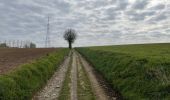 Tour Wandern Nivelles - BE-Bornival - Bois d'En-Bas  - Ecluse 24 - Ancien canal - Photo 15