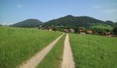 Trail On foot Semriach - Wanderweg 13a - Photo 7