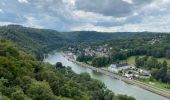 Excursión Senderismo Hastière - GRP 125 : Les crêtes de la Meuse (Hastière) - Photo 16