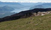 Randonnée Marche Arvière-en-Valromey - LE GRAND COLOMBIER - Photo 4